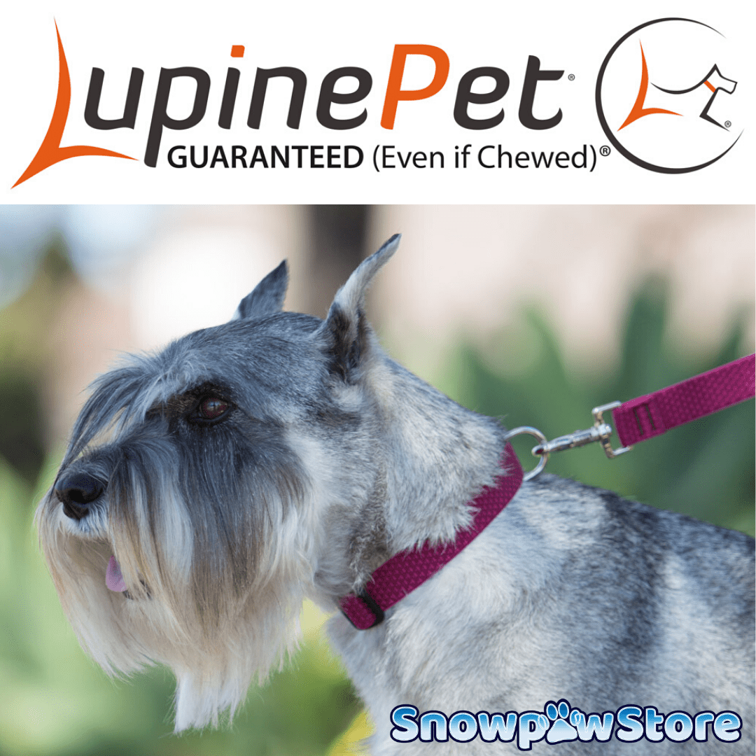 Lupine ECO Collars - SnowPaw Store - Lupine - Dog Collars, Leads, Belts